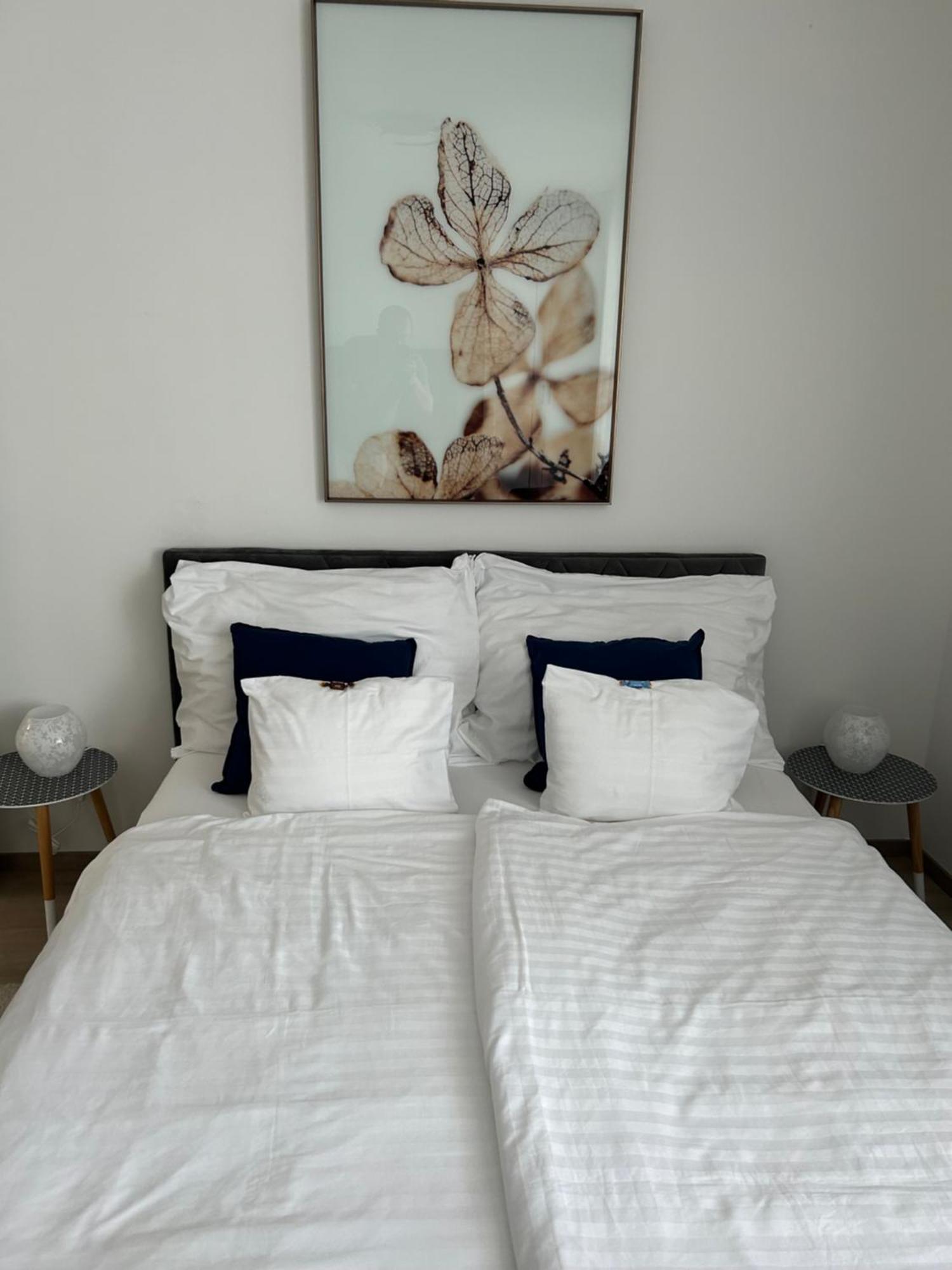 West Budapest-edge Of Downtown-free Parking Apartment *